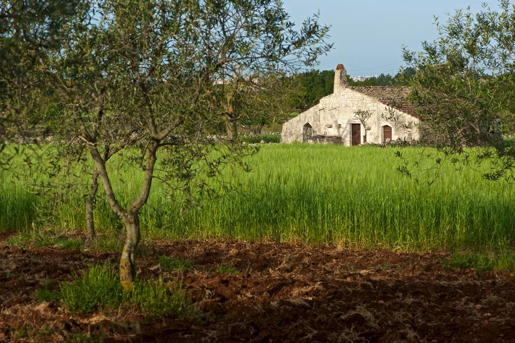 Bauernhof Masseria Ciavea Gioia Del Colle