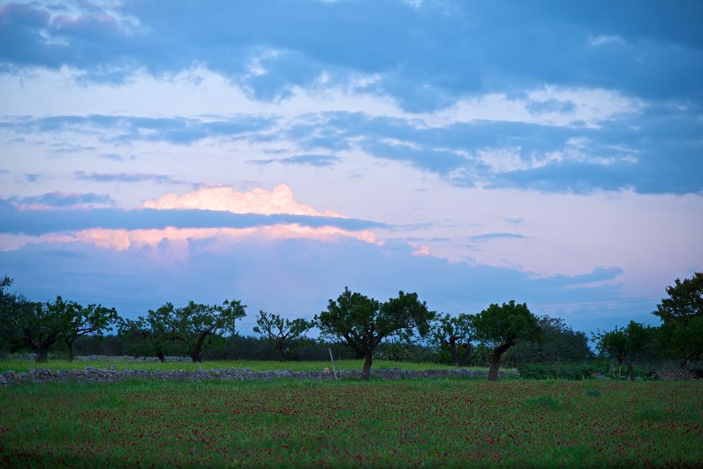Masseria Ciavea Bauernhof